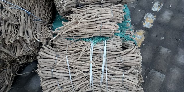 人口直径_人口普查(3)
