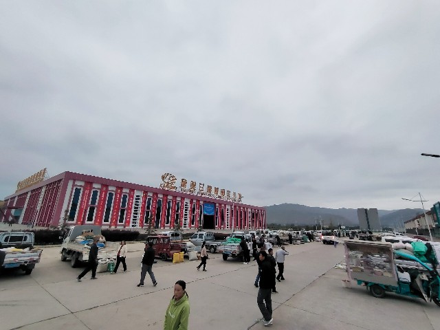 202594ķ念ҩгѶ
